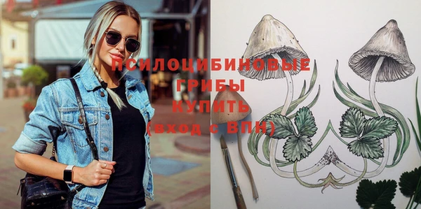 хмурый Наволоки
