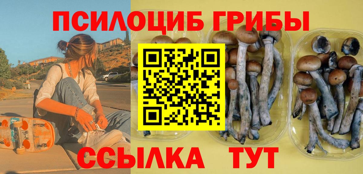 Псилоцибиновые грибы мицелий Тейково