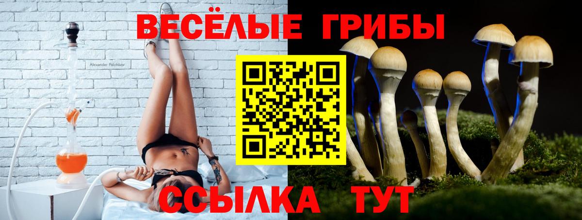 Галлюциногенные грибы Cubensis  Вход с VPN  Тейково 